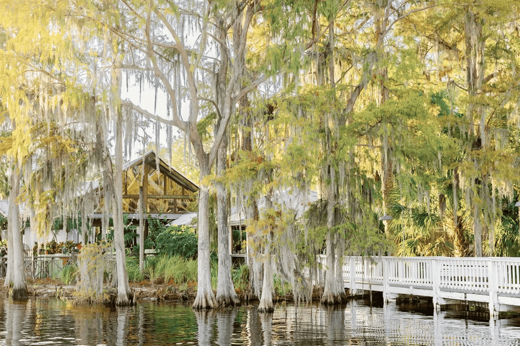 Unlocking The Price Of Paradise How Much Does A Rocky Ridge Package Costfeed